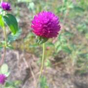 ヒメ日記 2025/09/29 17:00 投稿 まりか 角海老石亭