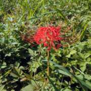 ヒメ日記 2025/10/02 17:00 投稿 まりか 角海老石亭