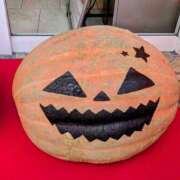 ヒメ日記 2025/10/02 20:30 投稿 まりか 角海老石亭