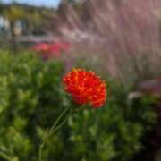 ヒメ日記 2025/10/05 17:00 投稿 まりか 角海老石亭