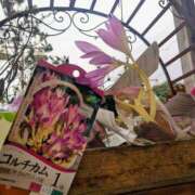 ヒメ日記 2025/10/16 18:30 投稿 まりか 角海老石亭