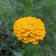 ヒメ日記 2025/10/18 17:00 投稿 まりか 角海老石亭