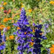 ヒメ日記 2025/10/20 17:00 投稿 まりか 角海老石亭