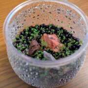 ヒメ日記 2025/10/21 18:30 投稿 まりか 角海老石亭