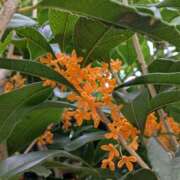 ヒメ日記 2025/10/21 17:00 投稿 まりか 角海老石亭