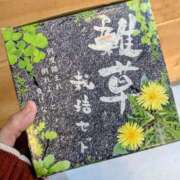 ヒメ日記 2025/11/01 18:30 投稿 まりか 角海老石亭