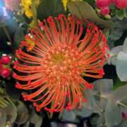 ヒメ日記 2025/11/06 17:00 投稿 まりか 角海老石亭