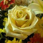 ヒメ日記 2025/11/13 17:00 投稿 まりか 角海老石亭