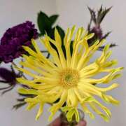 ヒメ日記 2025/11/18 17:00 投稿 まりか 角海老石亭