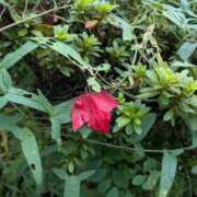 ヒメ日記 2025/11/24 17:00 投稿 まりか 角海老石亭