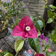 ヒメ日記 2025/11/27 17:00 投稿 まりか 角海老石亭