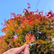 ヒメ日記 2025/11/27 20:30 投稿 まりか 角海老石亭