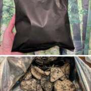 ヒメ日記 2025/12/01 18:30 投稿 まりか 角海老石亭