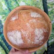 ヒメ日記 2025/12/04 18:30 投稿 まりか 角海老石亭