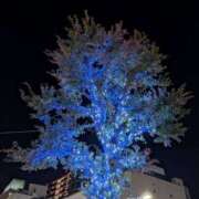 ヒメ日記 2025/12/06 20:30 投稿 まりか 角海老石亭