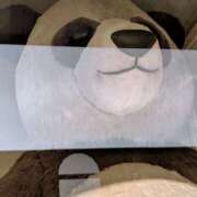 ヒメ日記 2025/12/15 18:30 投稿 まりか 角海老石亭