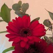 ヒメ日記 2025/12/19 17:00 投稿 まりか 角海老石亭