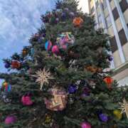 ヒメ日記 2025/12/21 18:30 投稿 まりか 角海老石亭