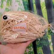 ヒメ日記 2025/12/25 18:30 投稿 まりか 角海老石亭