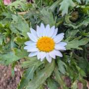 ヒメ日記 2026/01/08 17:00 投稿 まりか 角海老石亭