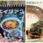 ヒメ日記 2026/01/08 19:00 投稿 まりか 角海老石亭