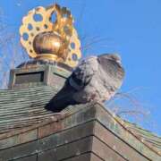 ヒメ日記 2026/01/14 19:00 投稿 まりか 角海老石亭