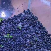 ヒメ日記 2026/01/22 21:00 投稿 まりか 角海老石亭