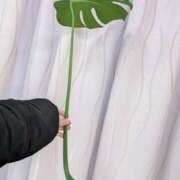 ヒメ日記 2026/01/25 21:00 投稿 まりか 角海老石亭