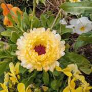 まりか 出勤しました〜 角海老石亭