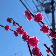 ヒメ日記 2026/03/03 17:00 投稿 まりか 角海老石亭