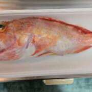 ヒメ日記 2026/03/08 21:00 投稿 まりか 角海老石亭