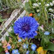 ヒメ日記 2026/04/01 17:00 投稿 まりか 角海老石亭