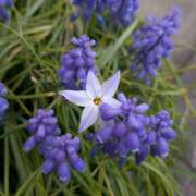 ヒメ日記 2026/04/02 17:00 投稿 まりか 角海老石亭