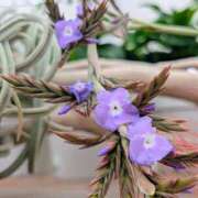 ヒメ日記 2026/04/08 17:00 投稿 まりか 角海老石亭