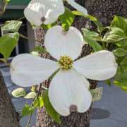 ヒメ日記 2026/04/16 17:00 投稿 まりか 角海老石亭