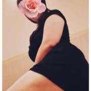 ヒメ日記 2025/08/28 16:53 投稿 ゆかり 角海老石亭