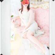 ヒメ日記 2025/11/01 12:42 投稿 ゆかり 角海老石亭