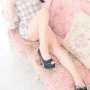 ヒメ日記 2025/11/02 09:59 投稿 ゆかり 角海老石亭