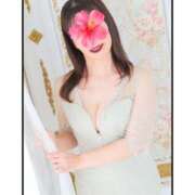 ヒメ日記 2025/11/23 09:57 投稿 ゆかり 角海老石亭