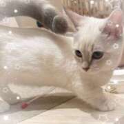 ヒメ日記 2026/02/24 18:30 投稿 イズミ 角海老石亭