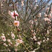 ヒメ日記 2026/03/06 20:26 投稿 イズミ 角海老石亭