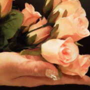 ヒメ日記 2025/11/07 11:23 投稿 マリ 角海老石亭