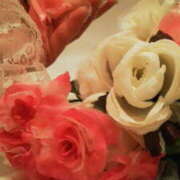 ヒメ日記 2025/11/21 18:43 投稿 マリ 角海老石亭