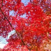 ヒメ日記 2025/11/29 15:33 投稿 マリ 角海老石亭