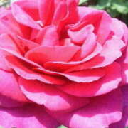 ヒメ日記 2025/12/04 16:16 投稿 マリ 角海老石亭