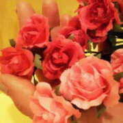 ヒメ日記 2025/12/19 18:02 投稿 マリ 角海老石亭