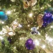 ヒメ日記 2025/12/24 13:18 投稿 マリ 角海老石亭