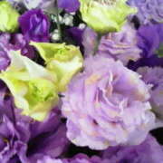 ヒメ日記 2025/12/25 16:23 投稿 マリ 角海老石亭