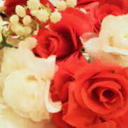 ヒメ日記 2025/12/28 18:35 投稿 マリ 角海老石亭