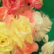 ヒメ日記 2026/02/13 17:29 投稿 マリ 角海老石亭